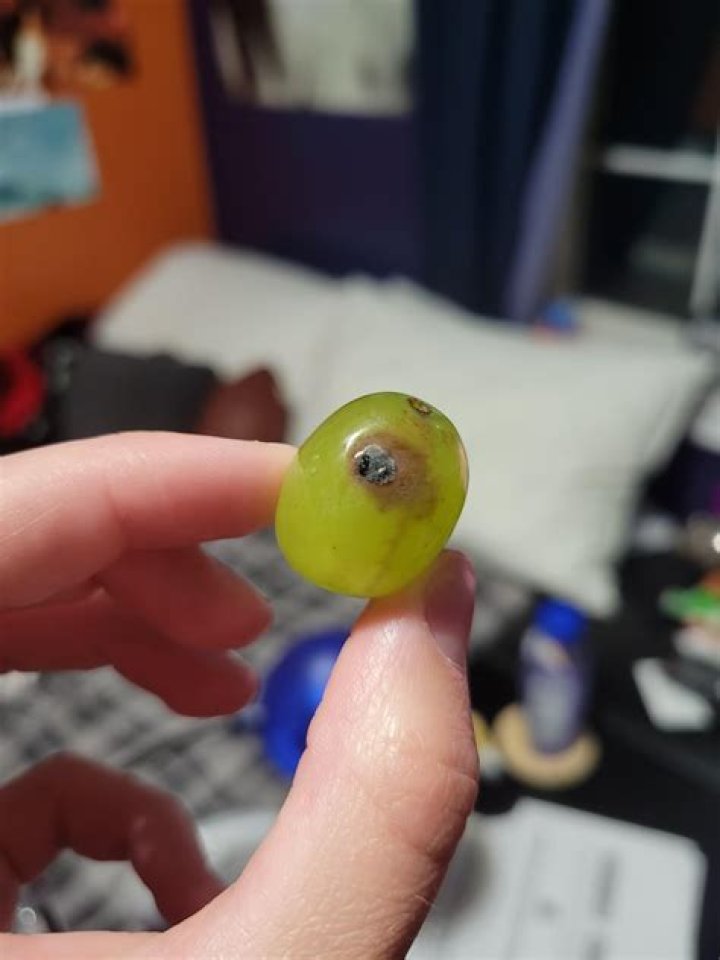 Can you eat moldy grapes?