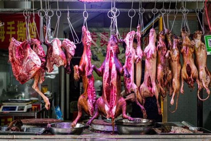 Does Aldi get meat from China?