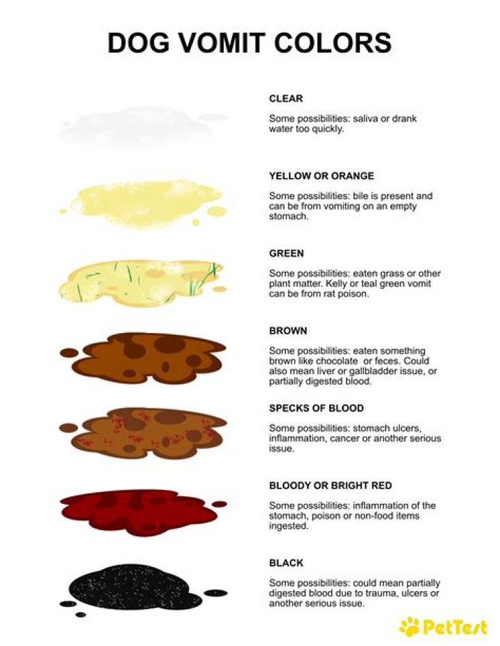 Is black vomit serious?