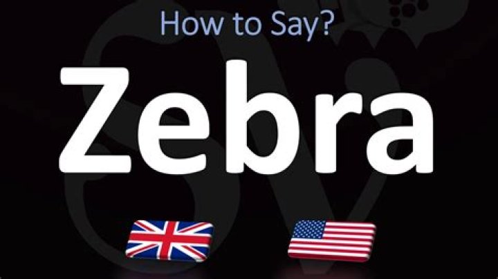Is it pronounced zeebra or zebra?