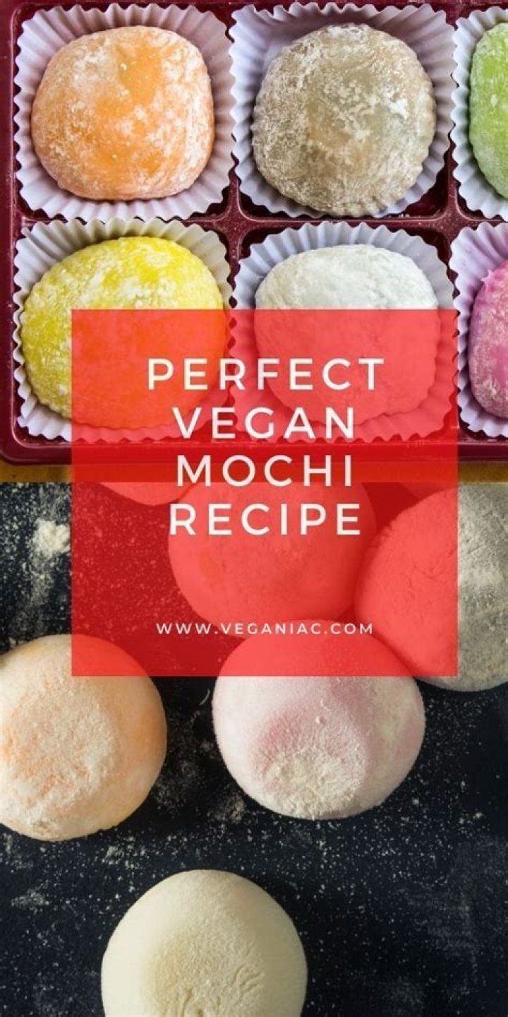 Is Mochi vegan friendly?