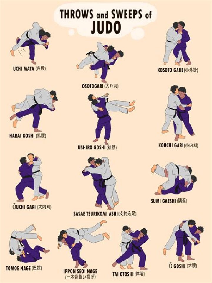 Should I learn BJJ gi or no gi?