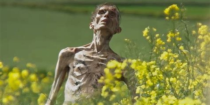 What does Murphy's oil do?