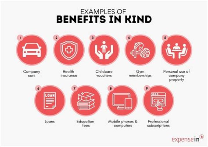 What does payment in kind mean?