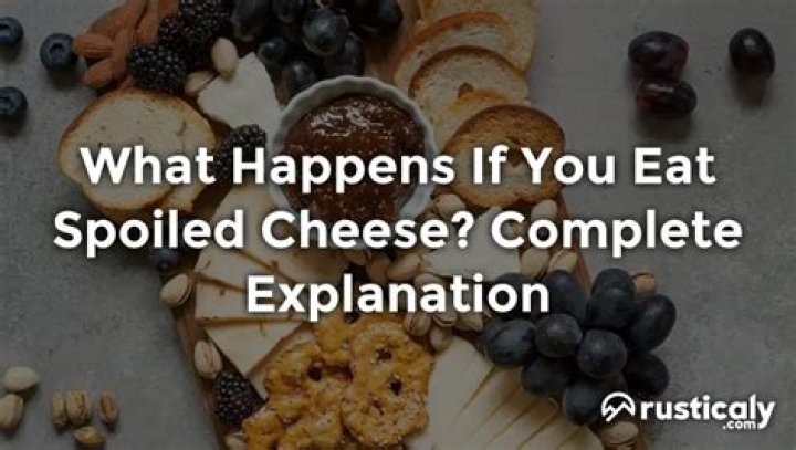 What happens if you eat spoiled cheese?