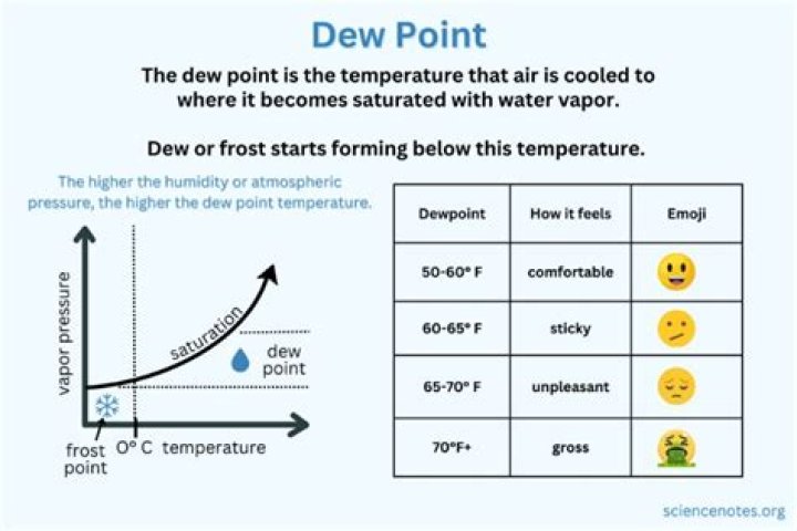What happens when the air reaches its dew point?