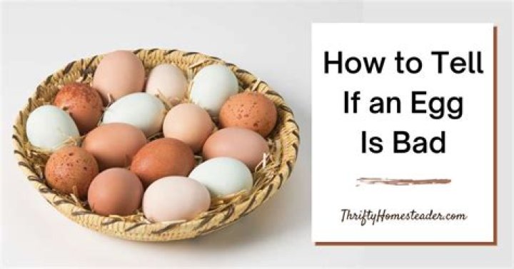 What should you do if you eat a bad egg?