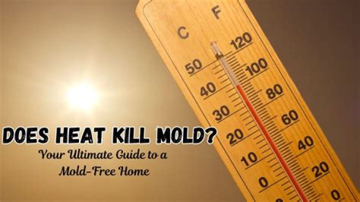 What temperature will kill mold?