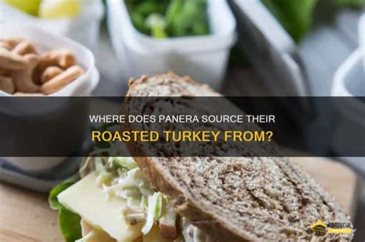 What turkey meat does Panera use?