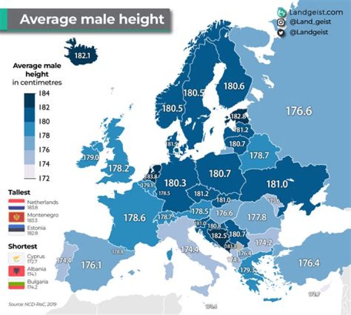 What was the average male height in 1940?