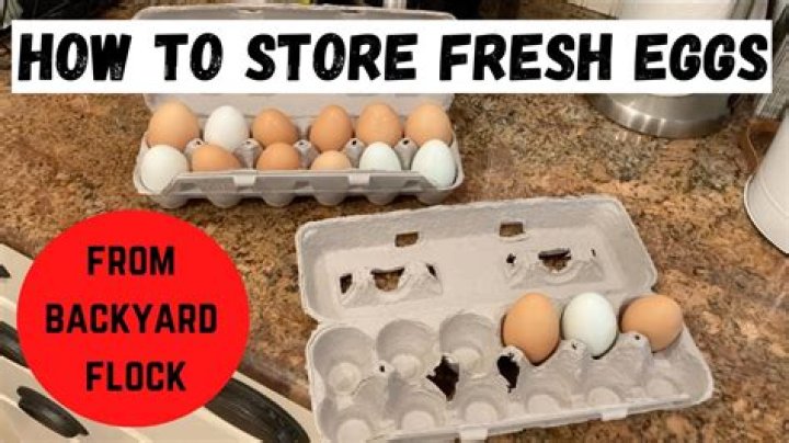 Where should you store eggs?